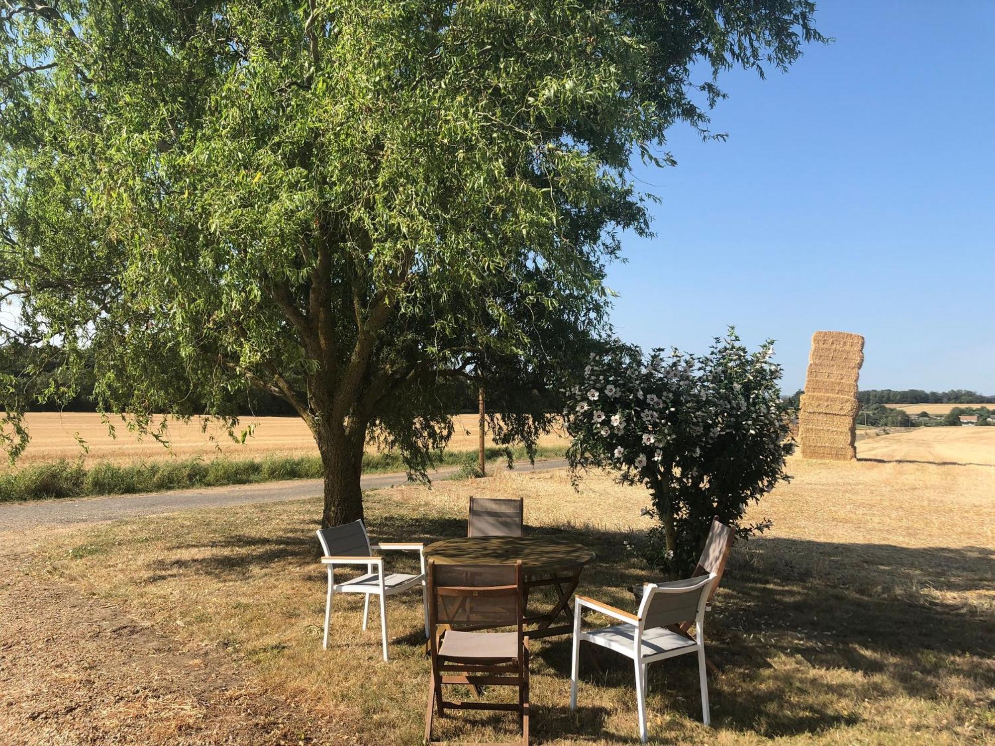 Gîte Loir en Vallée, 5 pièces, 8 personnes - FR-1-410-274 Ruille-Sur-Loir Extérieur photo